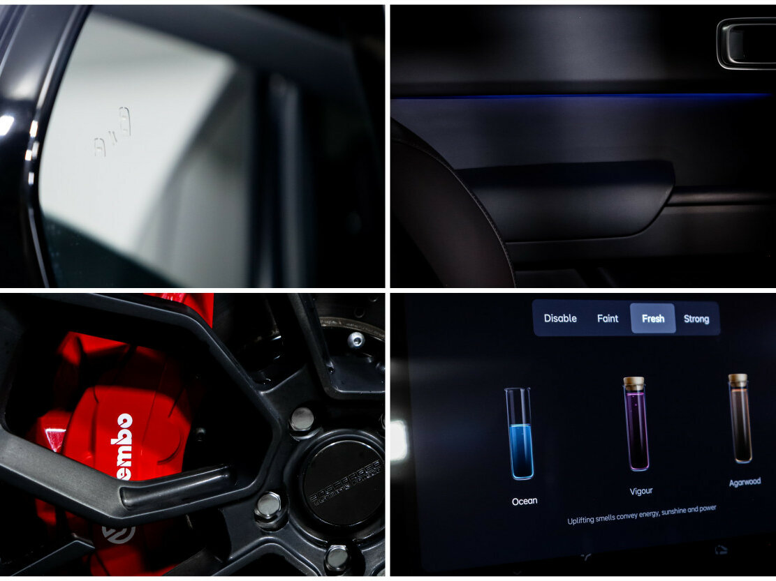 Купить Lixiang L9 44.5 kWh I, 2024, 1 432 км, фото №27