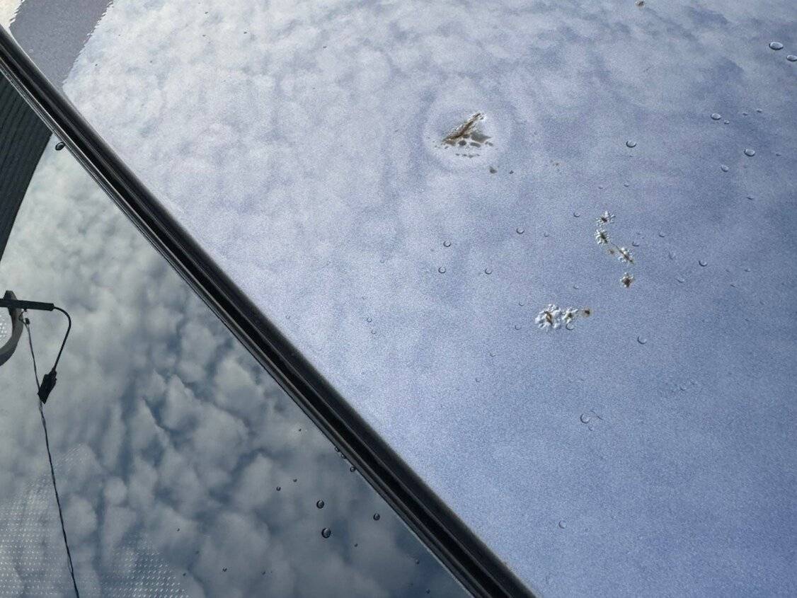 Купить Chery Tiggo 7 Pro, 2022, 38 300 км, фото №10