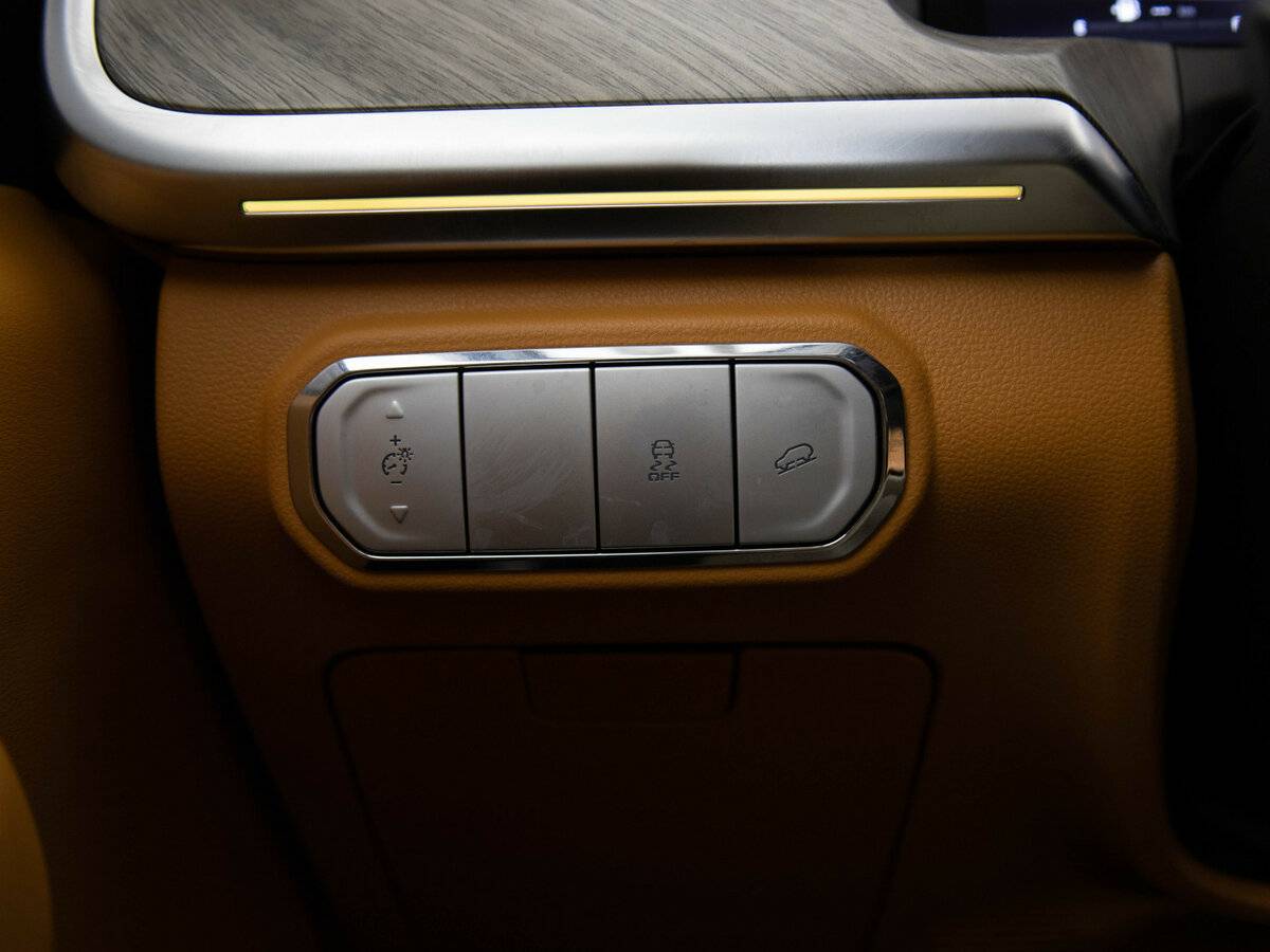 Купить Tank 500 I, 2023, 77 694 км, фото №17